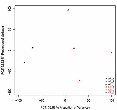 Transcriptome and iTRAQ-Based Proteome Reveal the Molecular Mechanism of Intestinal Injury Induced by Weaning Ewe's Milk in Lambs